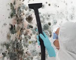 Best Environmental Consulting for Mold Prevention  in Fort Irwin, CA